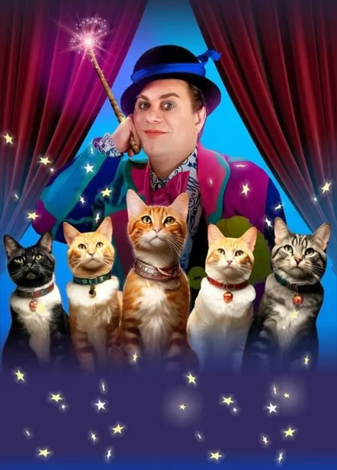 Кошки Куклачёва в городе