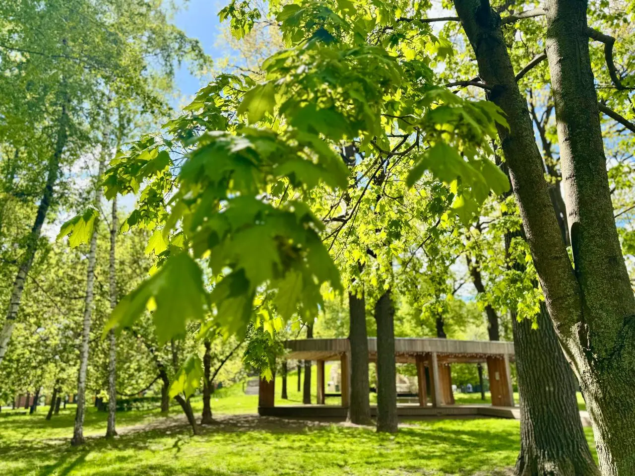 Сезон танцев в Саду им. Баумана 12+