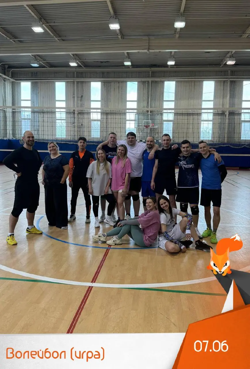 Волейбол (игра)