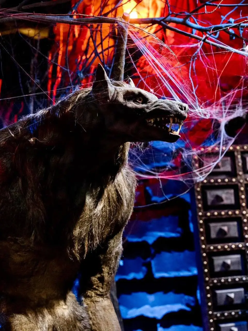 Самый загадочный музей столицы