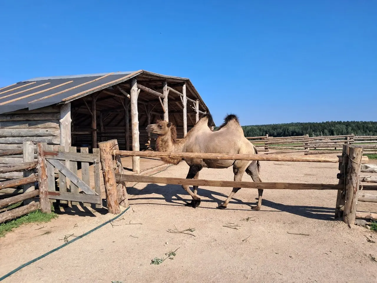 СДЕЛАНО В ХОТЬКОВО 2025