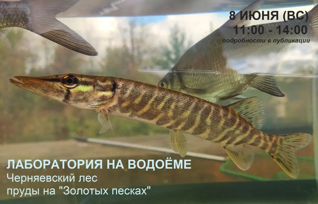 Лаборатория на водоёме 3+