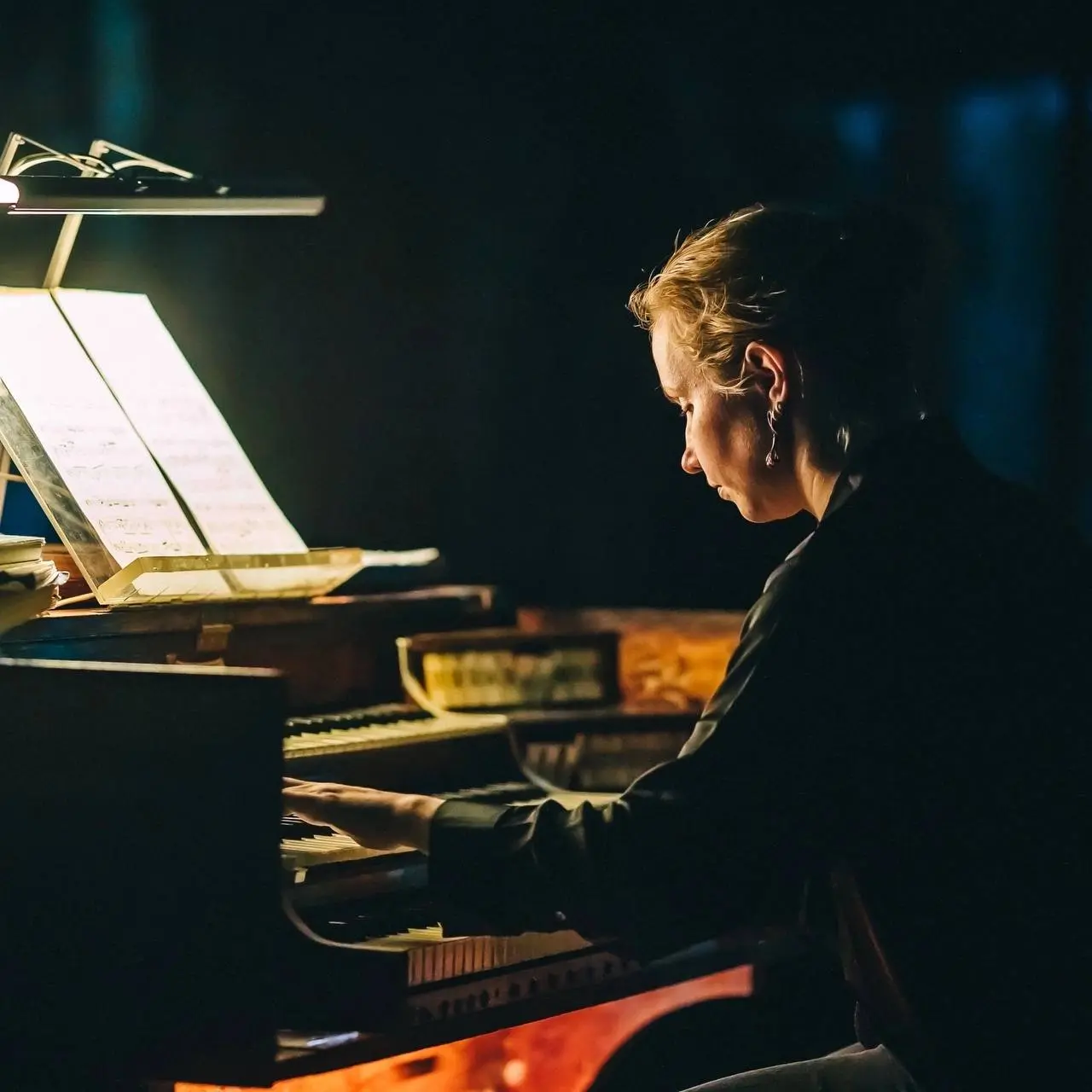 Орган и терменвокс: музыкальный вечер в Анненкирхе