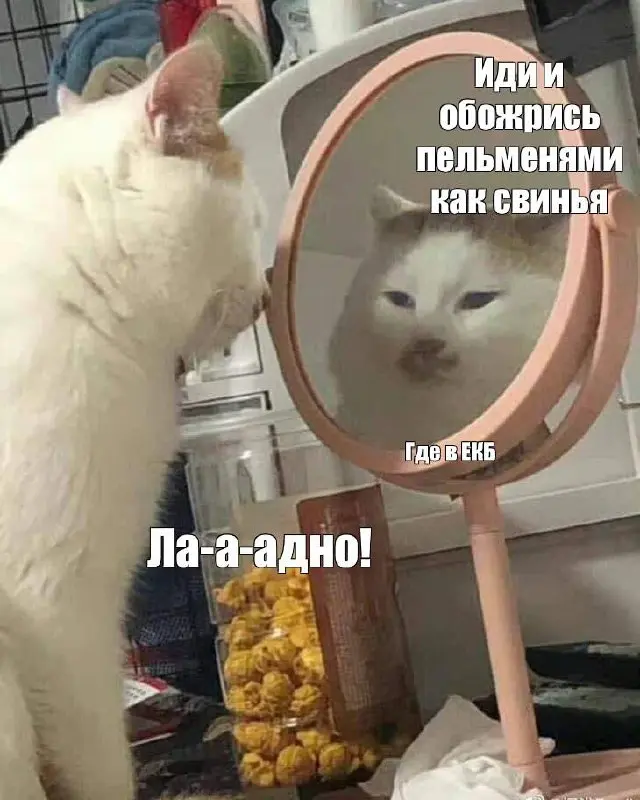 Чемпионат по поеданию пельменей