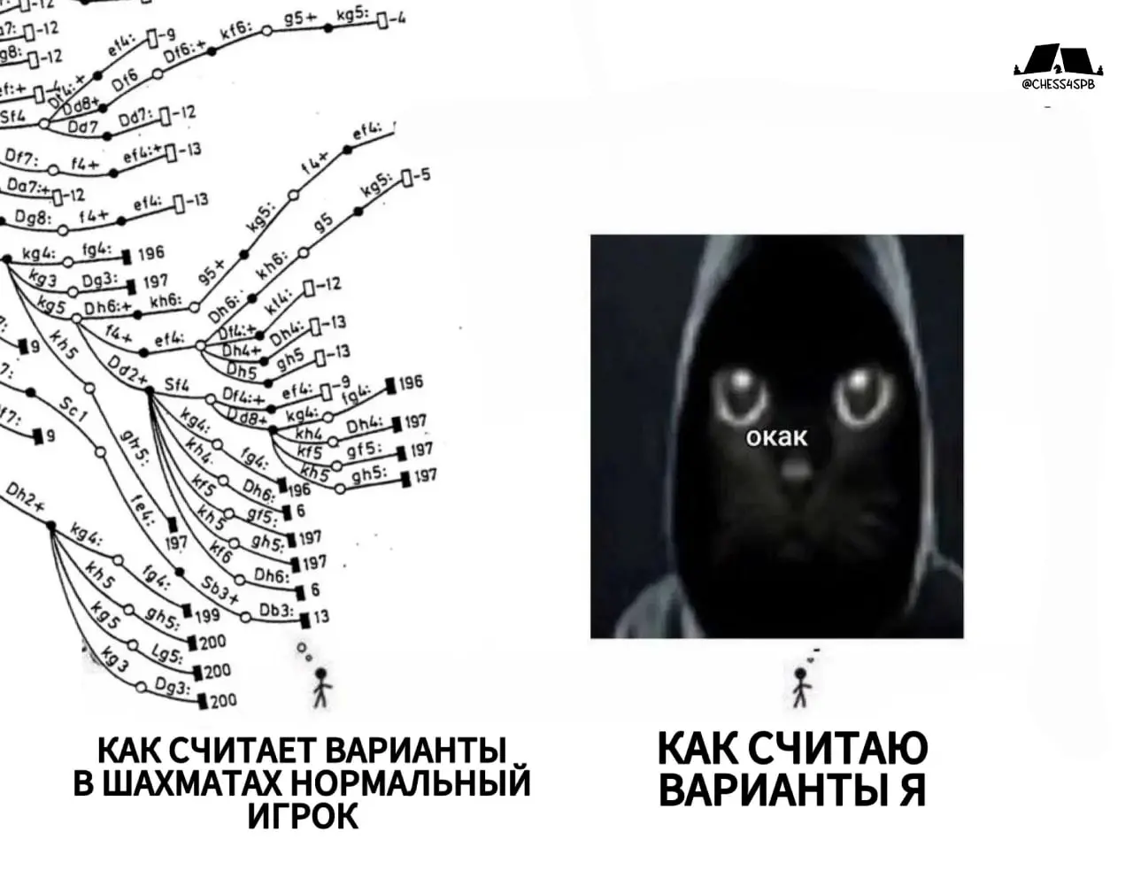 Шахматам быть!