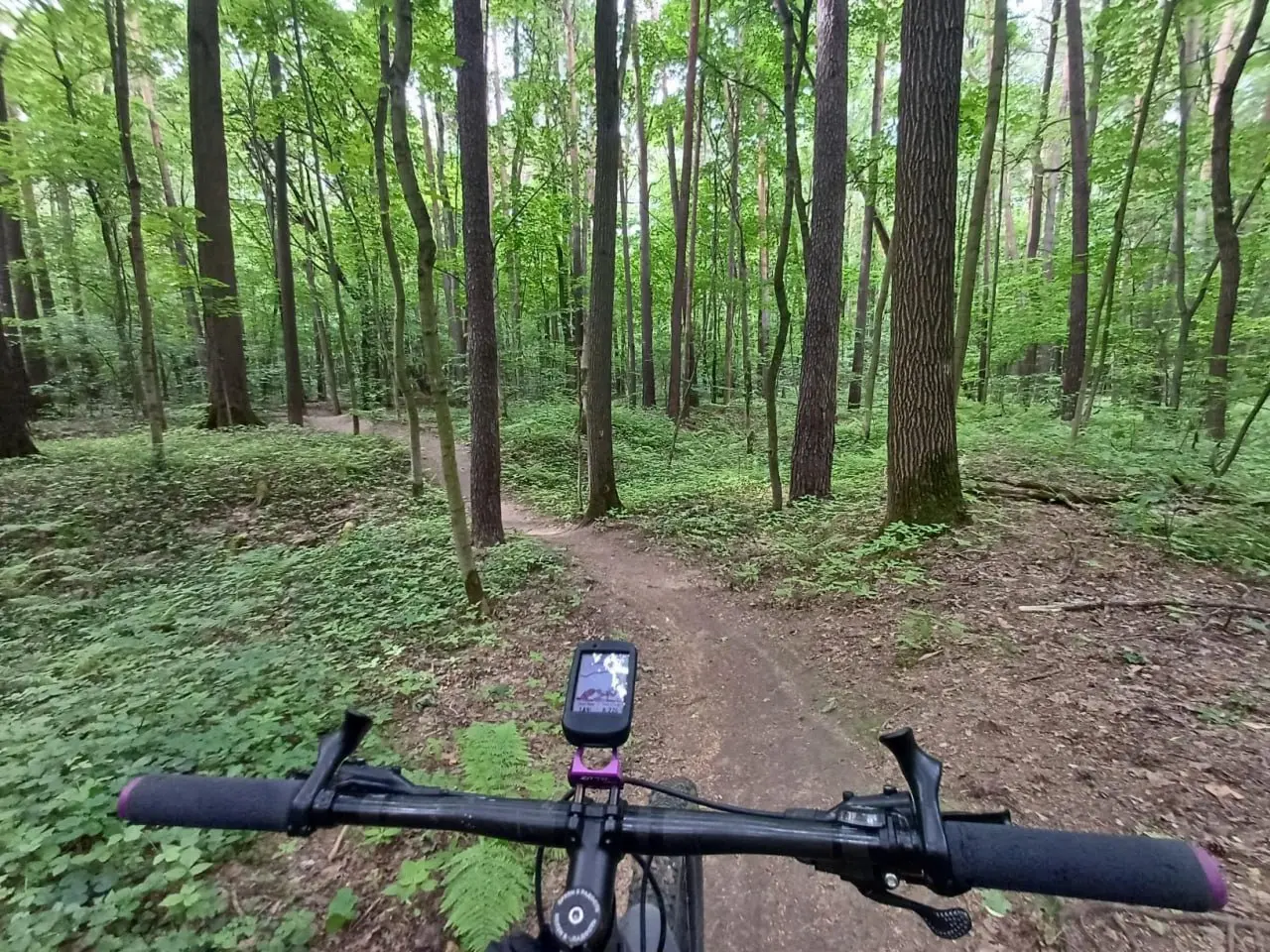 Бодрый ТимПарк