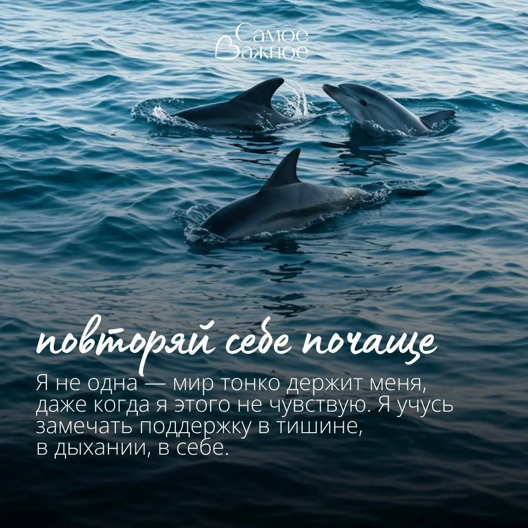 4 главных типажа имиджа: какой ваш и как училить имидж