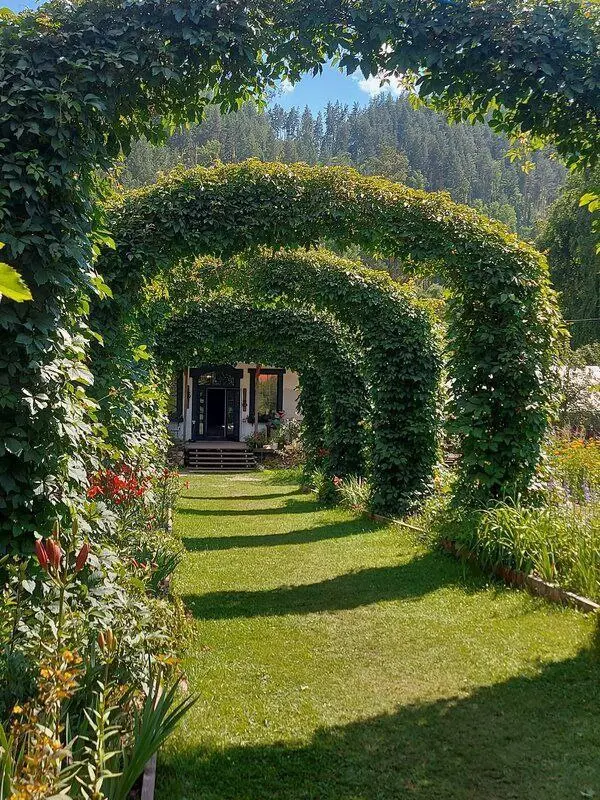 Туры в Горный Алтай и по Алтаю на июнь!