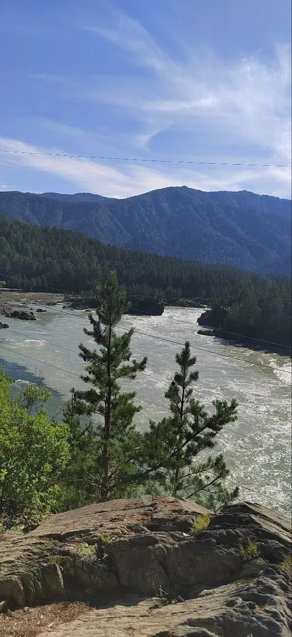 Туры в Горный Алтай и по Алтаю на июнь!
