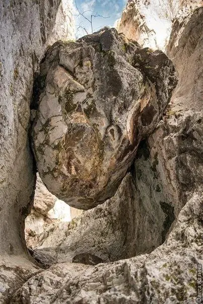 Туры в Горный Алтай и по Алтаю на июнь!