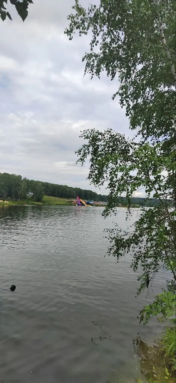 Туры в Горный Алтай и по Алтаю на июнь!