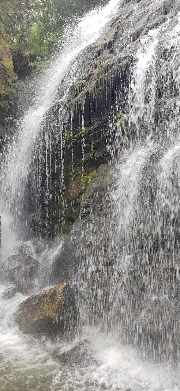 Туры в Горный Алтай и по Алтаю на июнь!