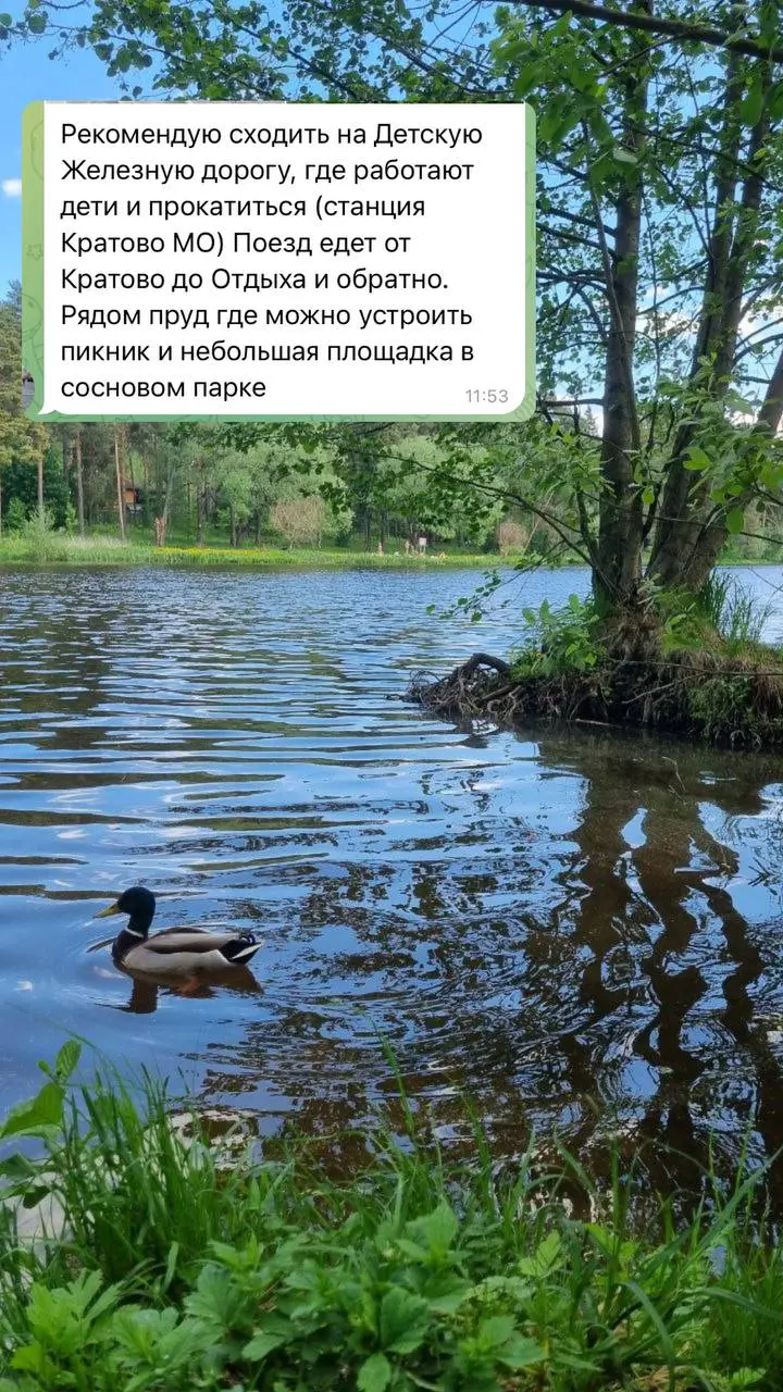 Московская детская железная дорога!