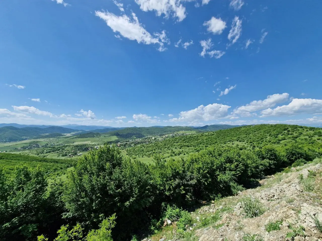 Фестиваль вина в Болниси и весенние краски природы.