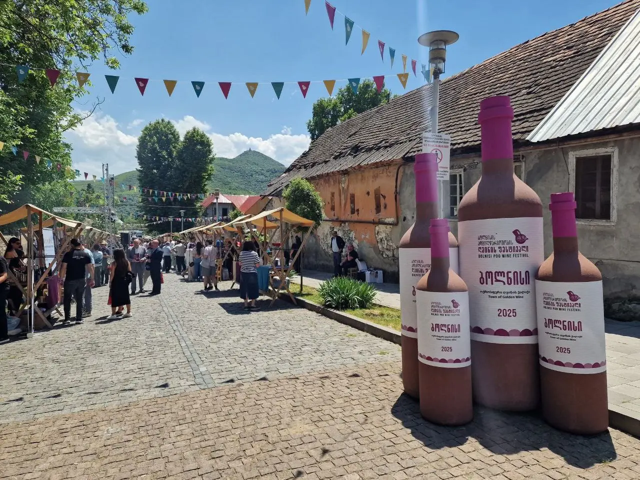 Фестиваль вина в Болниси и весенние краски природы.