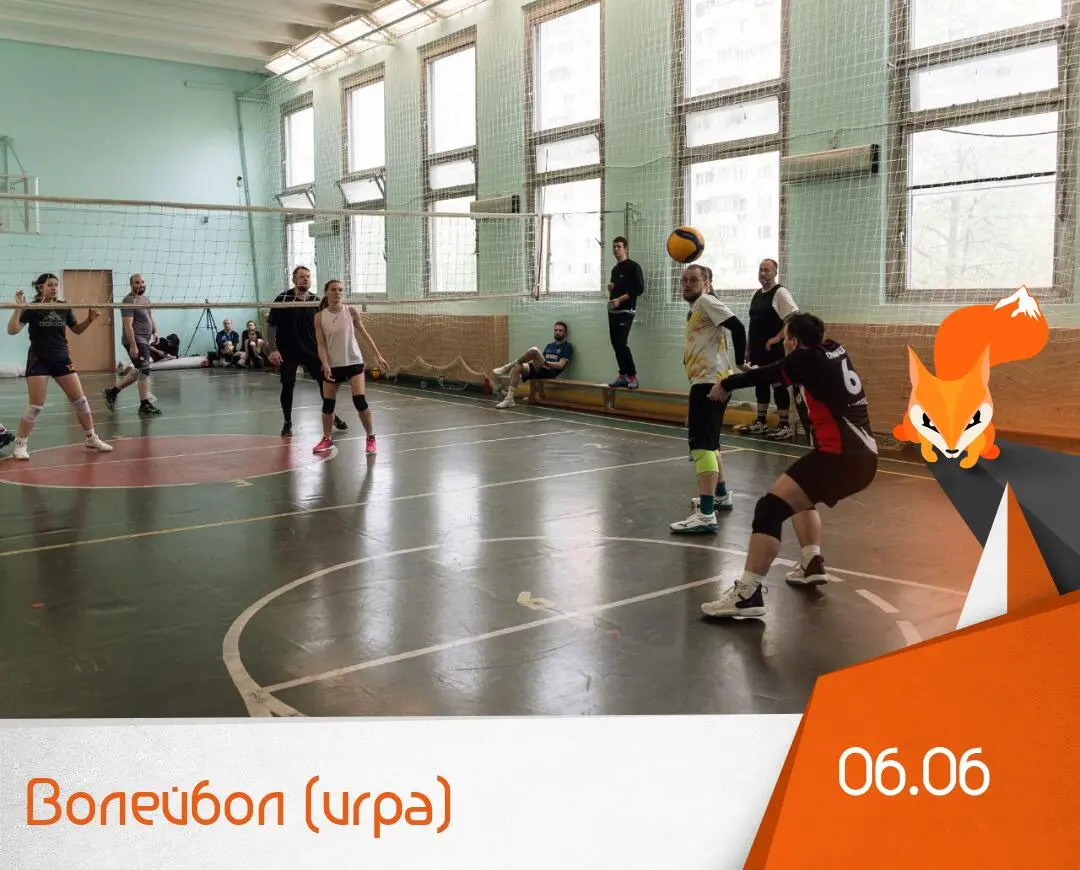 Волейбол (игра)