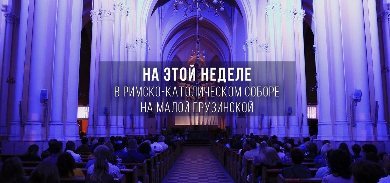 Афиша органных концертов