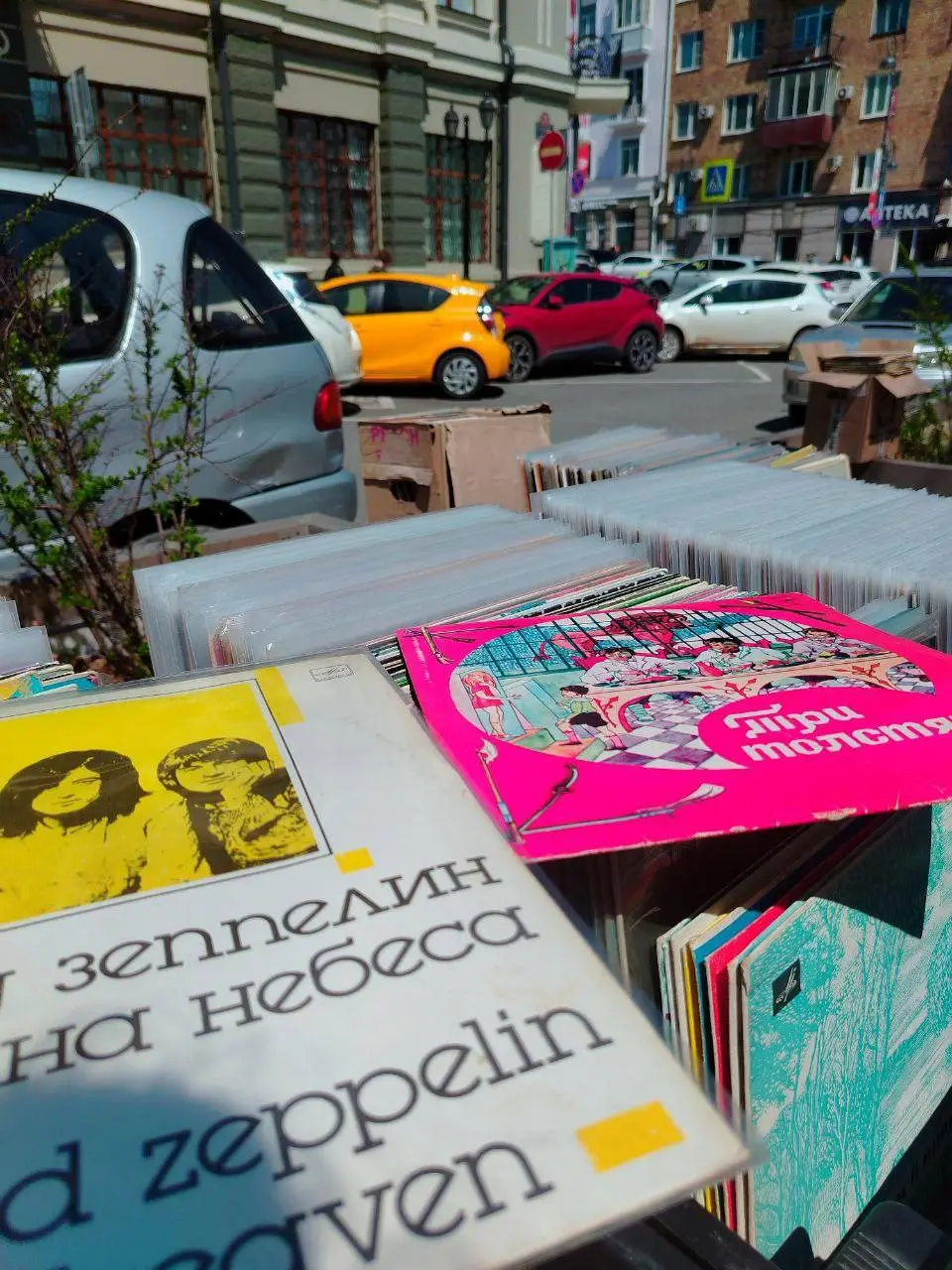 Культурная Ассоль