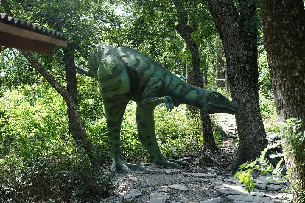 Верхний парк🎡