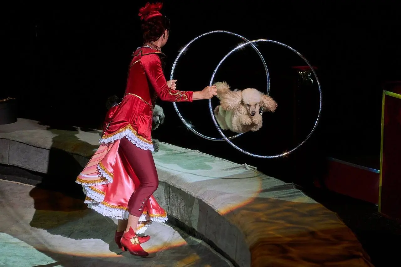 Магия великих слов