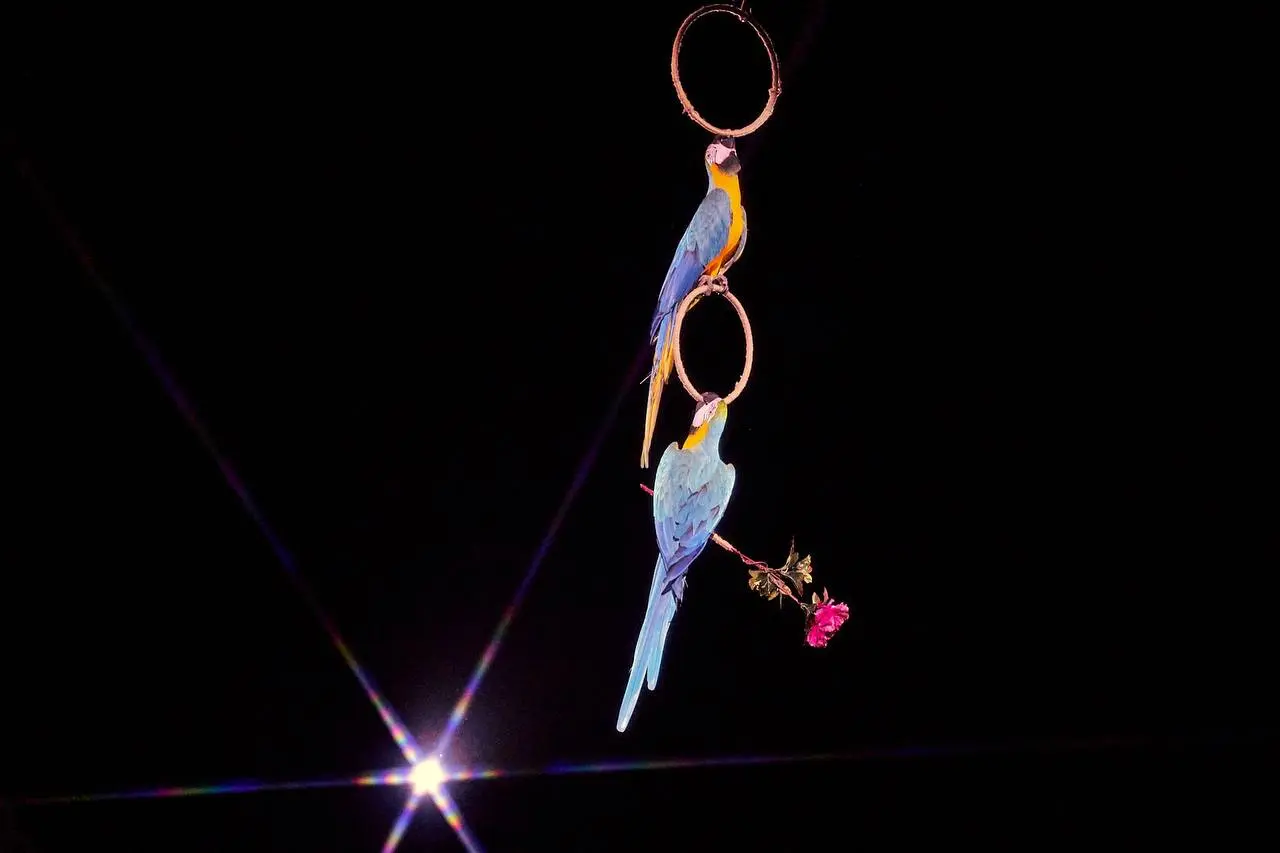 Магия великих слов