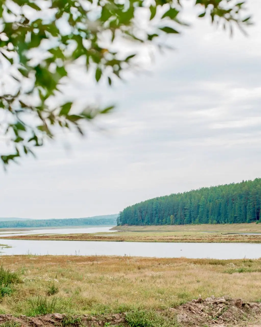 Мариинские избы: выездной семинар Йога Айенгара