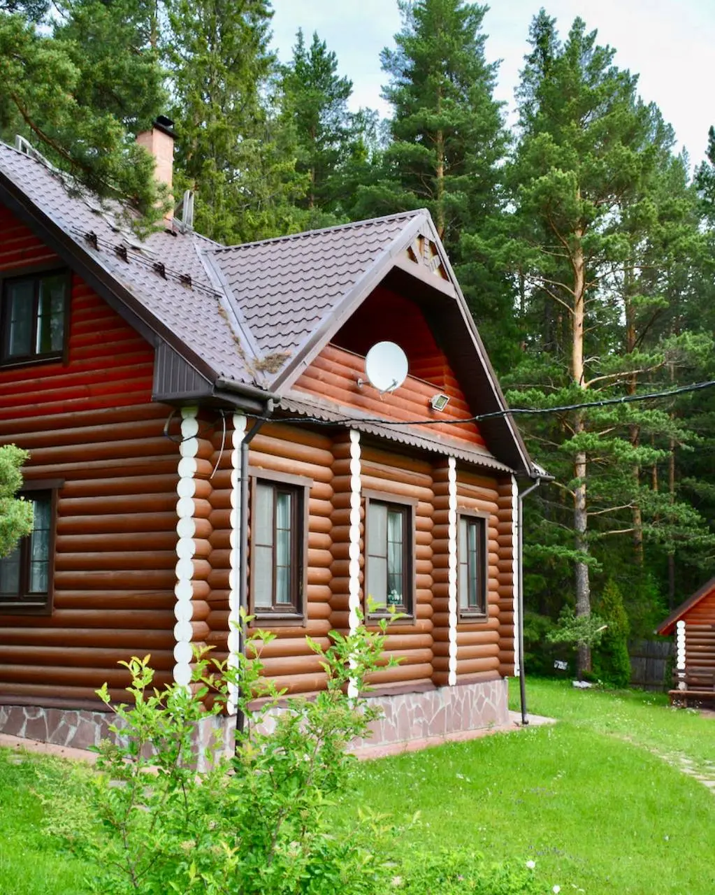 Мариинские избы: выездной семинар Йога Айенгара