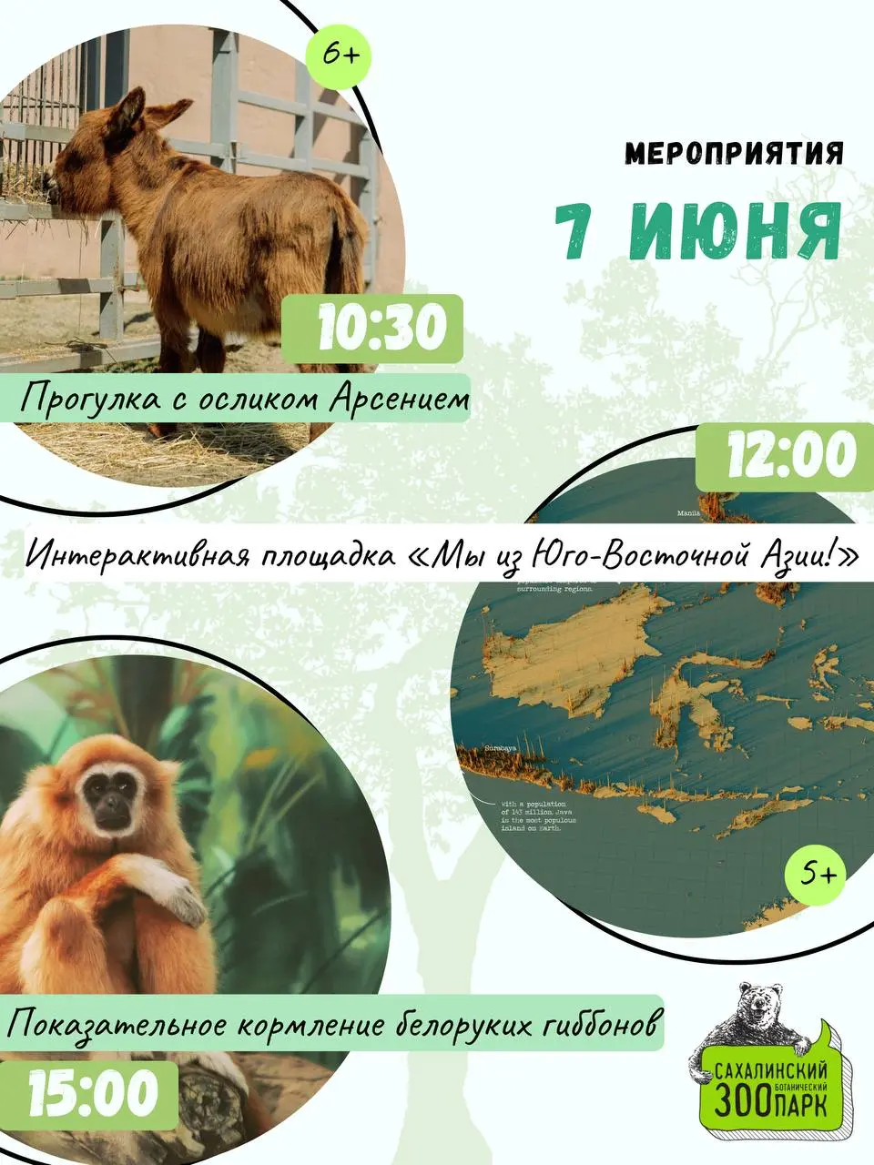 Выходные в зооботпарке: прогулки, интерактивные игры, мастер-классы и показательные кормления