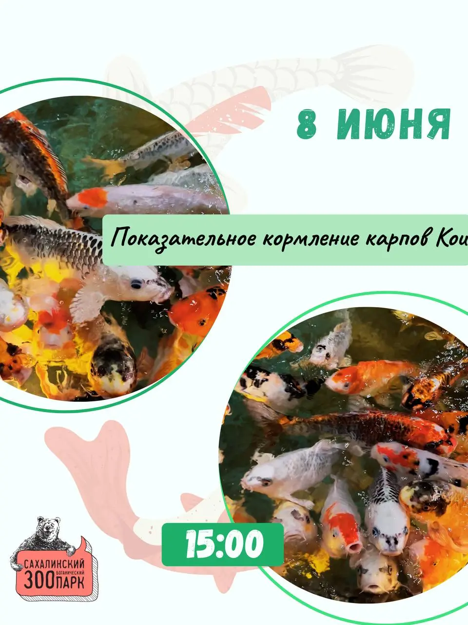 Выходные в зооботпарке: прогулки, интерактивные игры, мастер-классы и показательные кормления