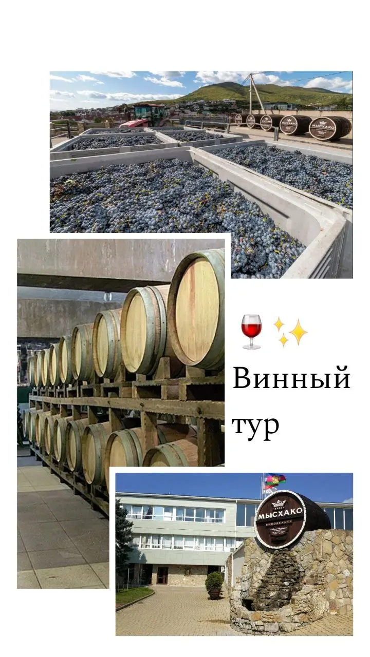 Винный тур в Мысхако: где городская суета остаётся за поворотом!