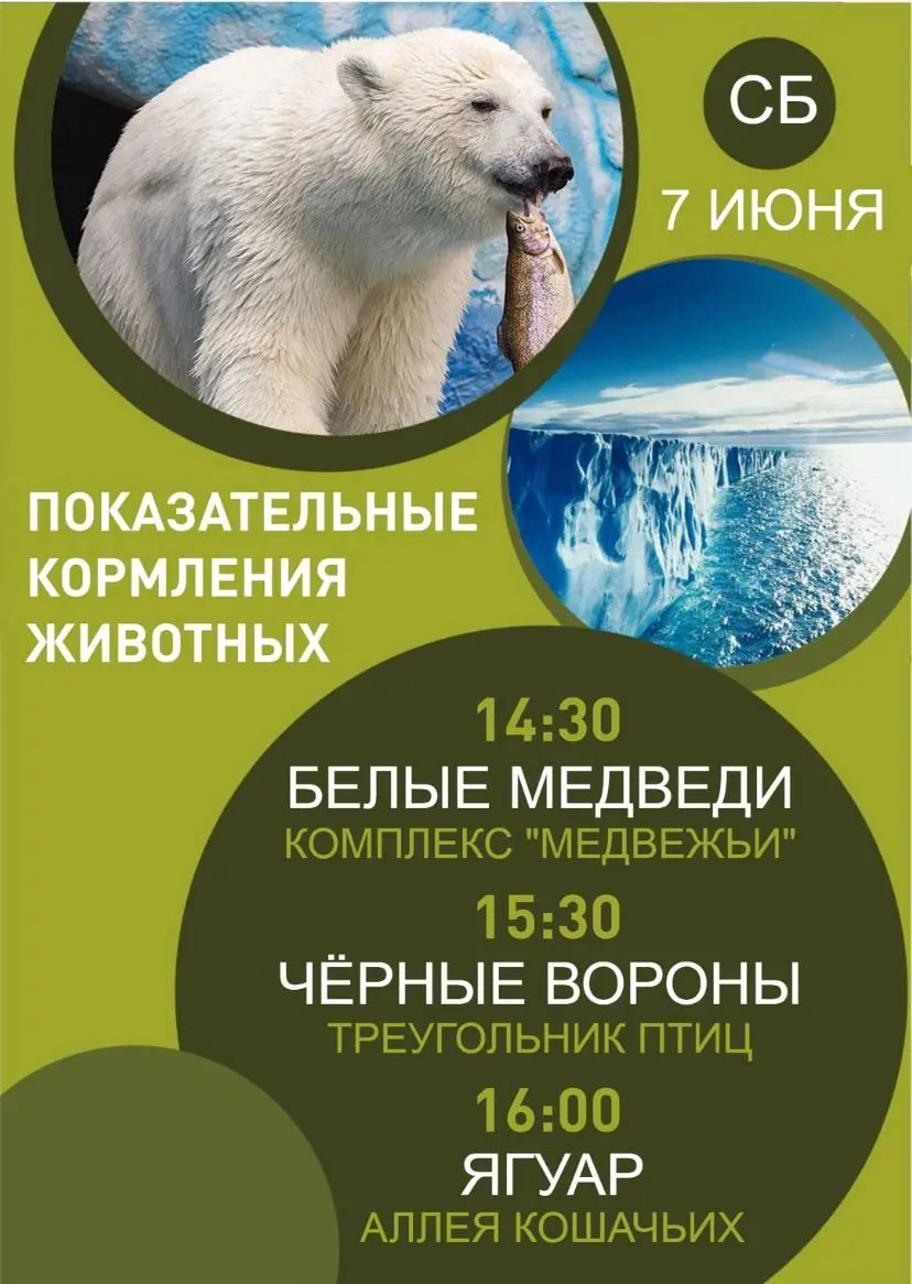 Показательные кормления животных в Парке «Роев ручей» и шоу мыльных пузырей 8 июня