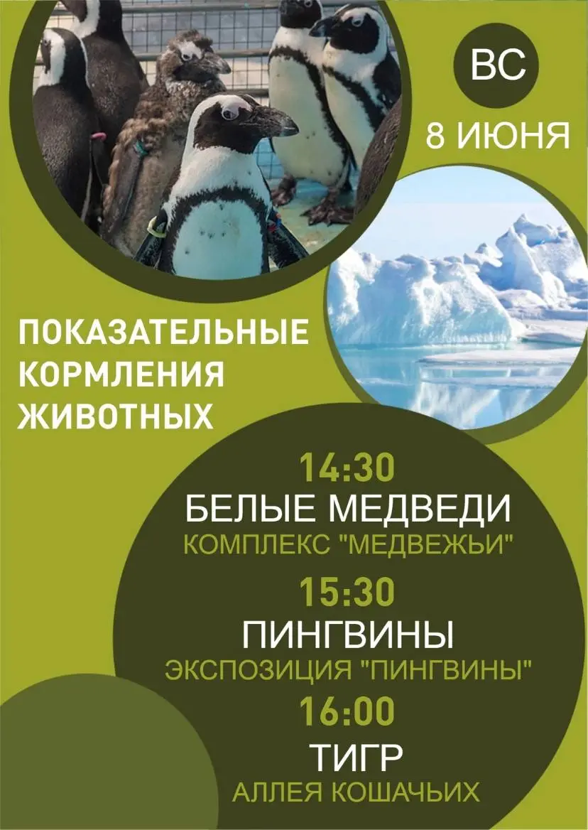 Показательные кормления животных в Парке «Роев ручей» и шоу мыльных пузырей 8 июня