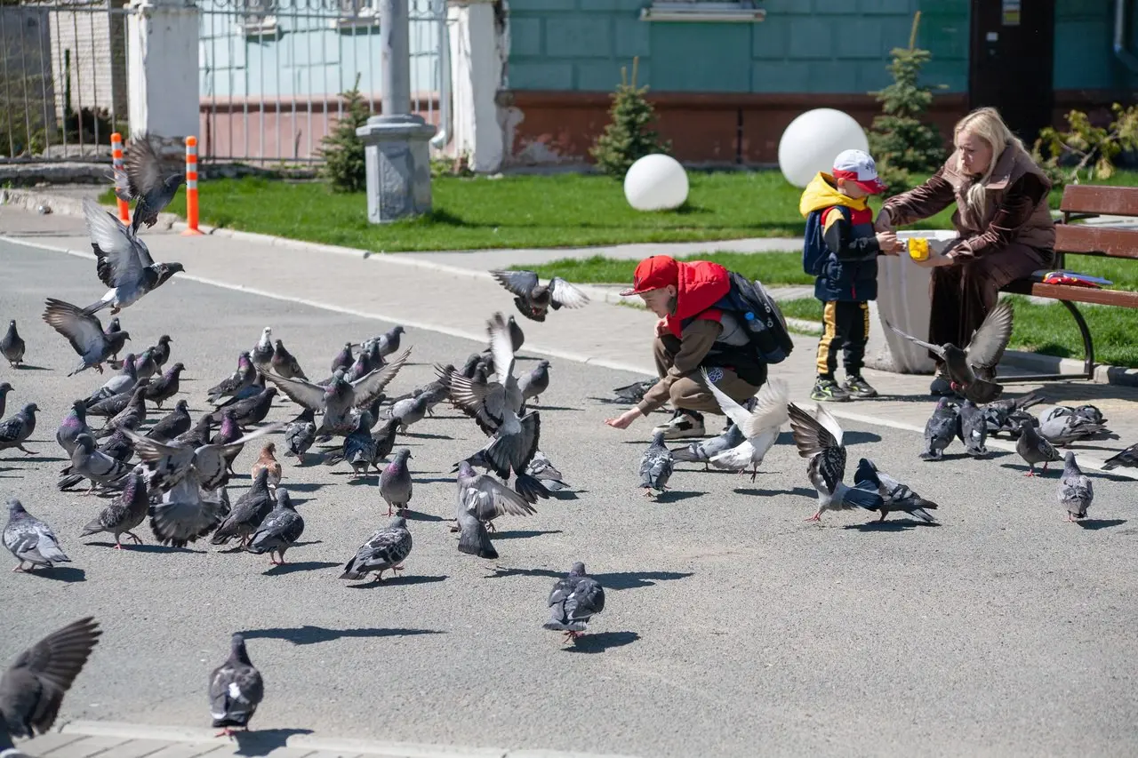 Идеи для семейных мероприятий в Барнауле 6-8 июня 2025 года