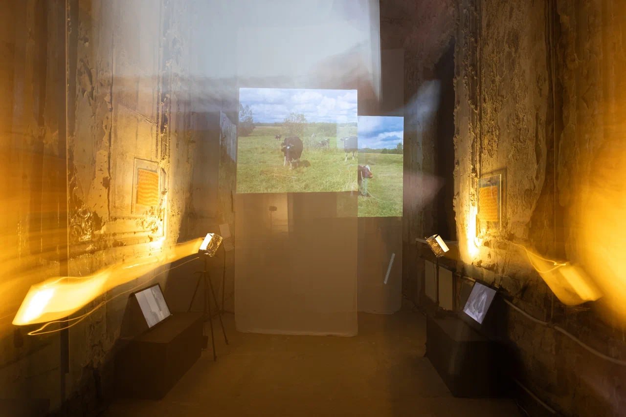 Открытие UN(FAIR) фестиваля