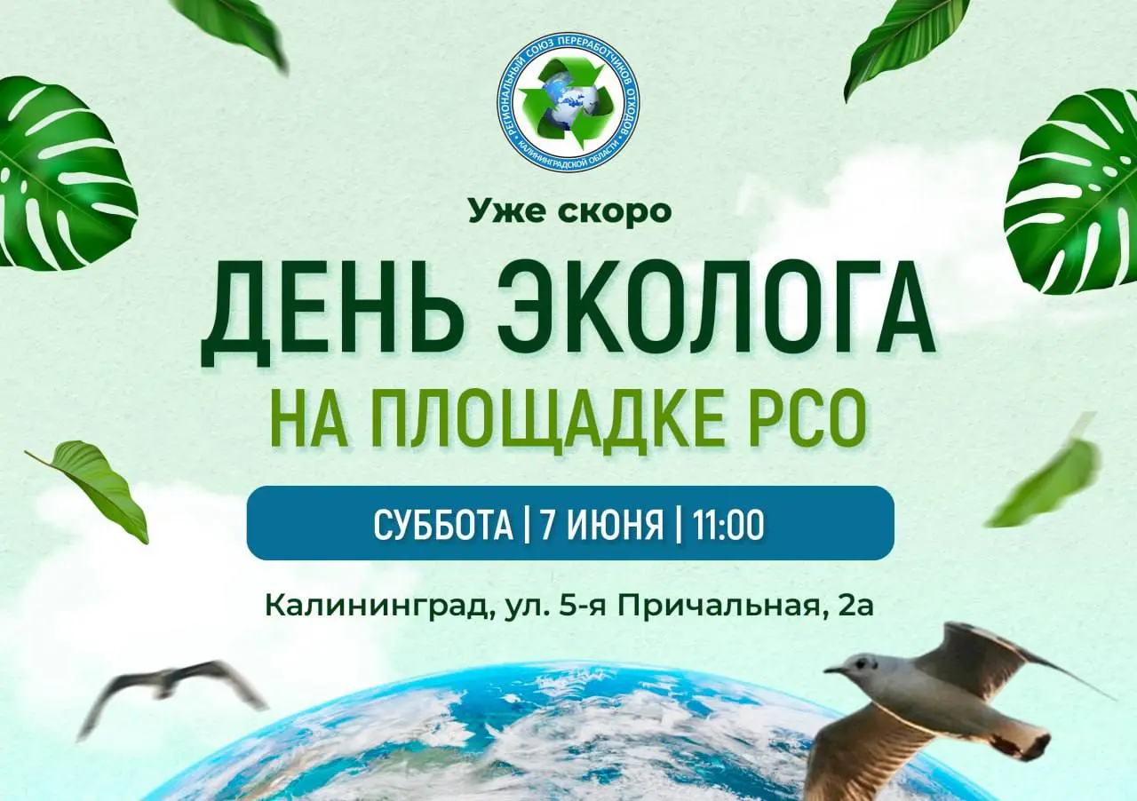 День эколога на площадке раздельного сбора отходов в Калининграде