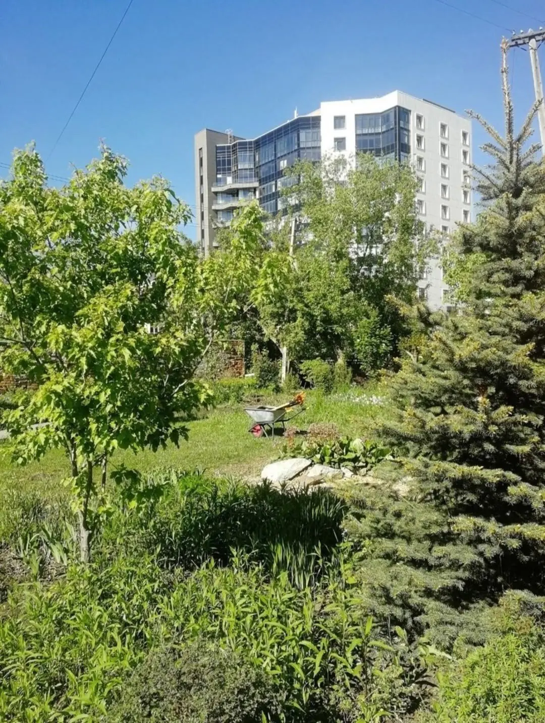 субботник в саду Нурова