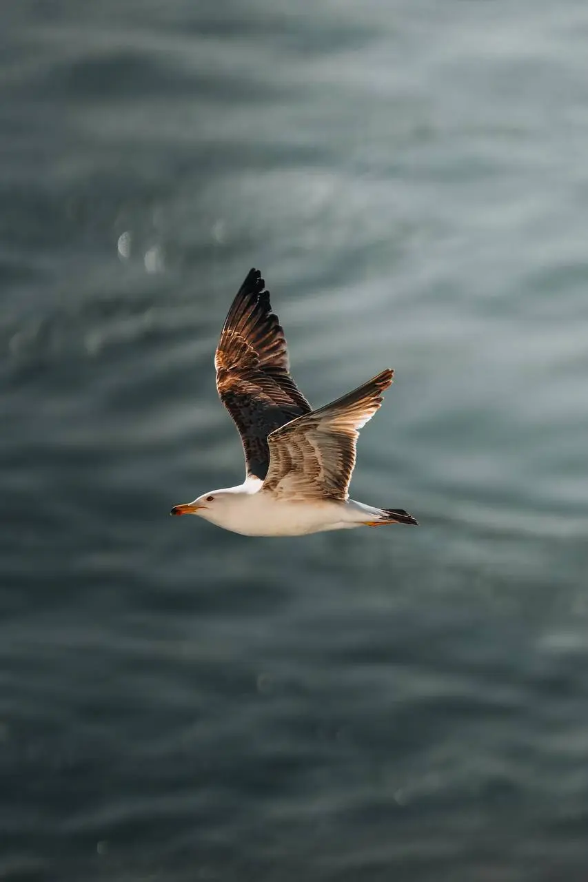 Встреча с Ириной Ковалёвой