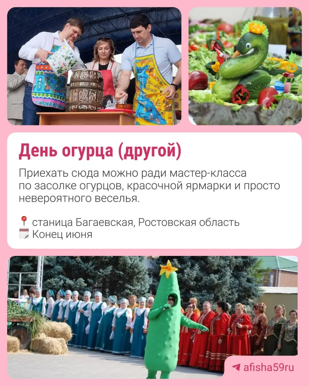 Жигулевская ВИШНЯЖ