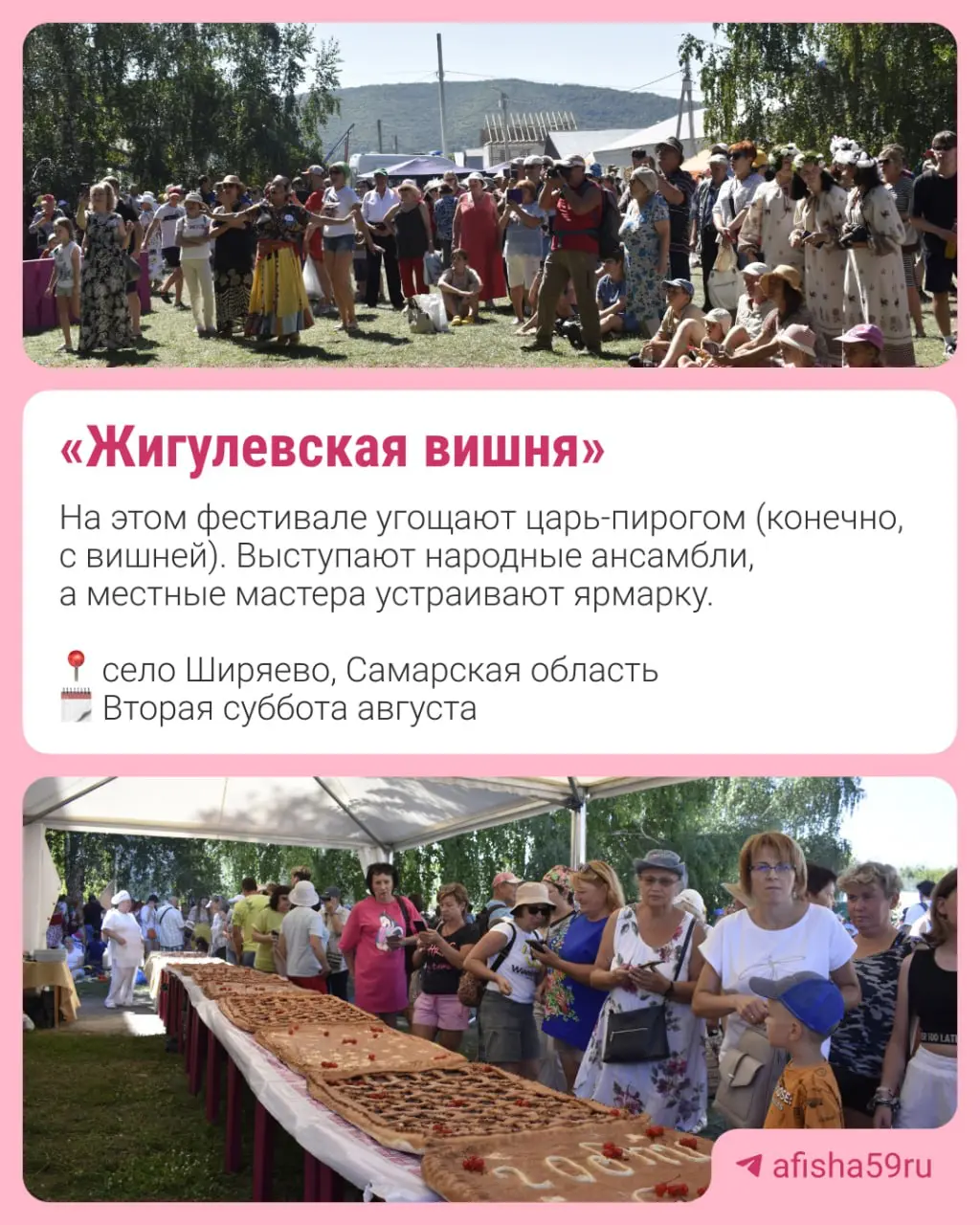 Жигулевская ВИШНЯЖ