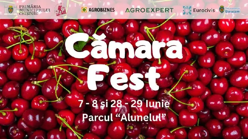 Cămara Fest