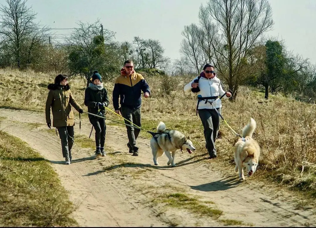 поход с хаски и северными легендами
