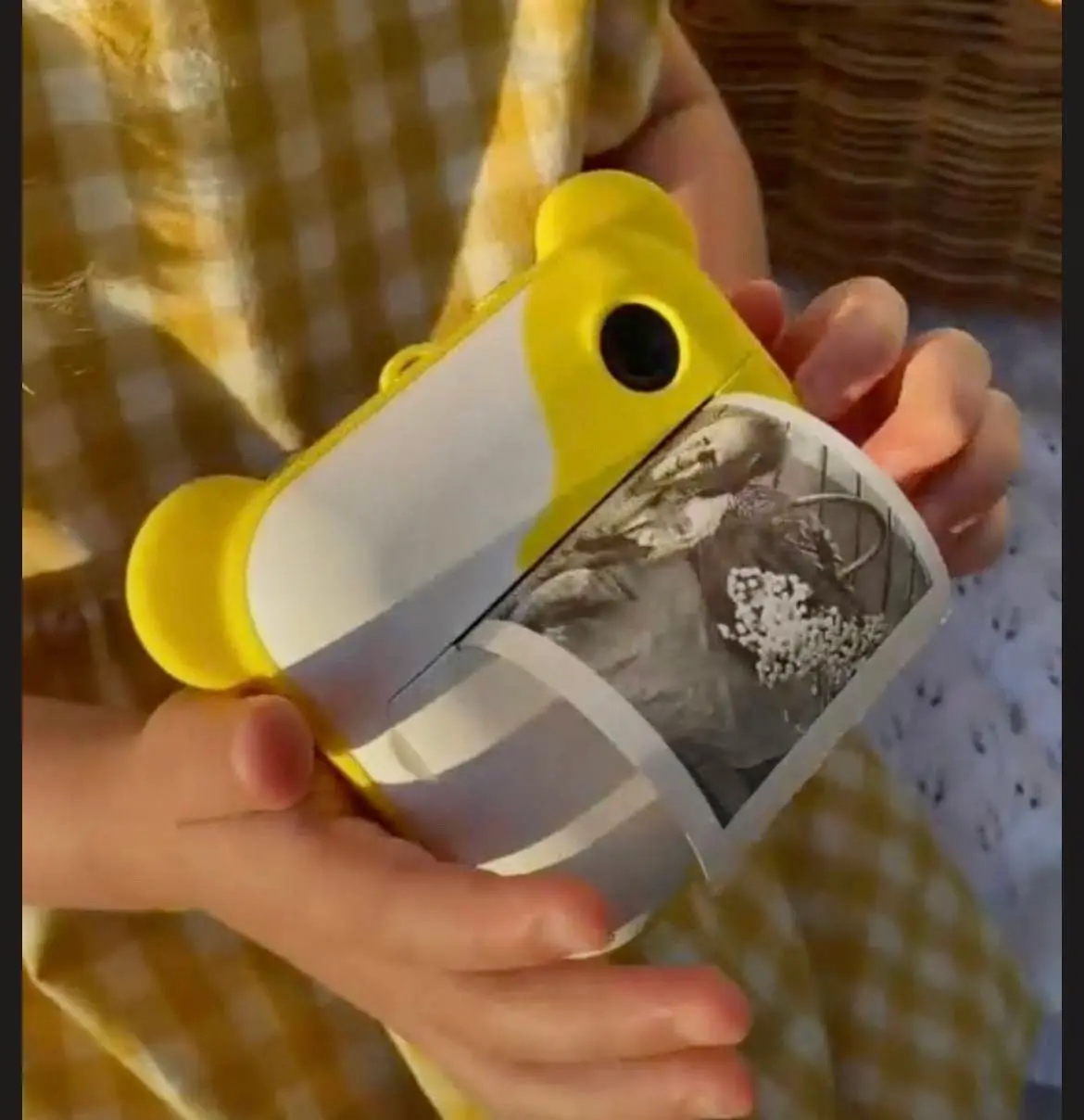 поход с хаски и северными легендами