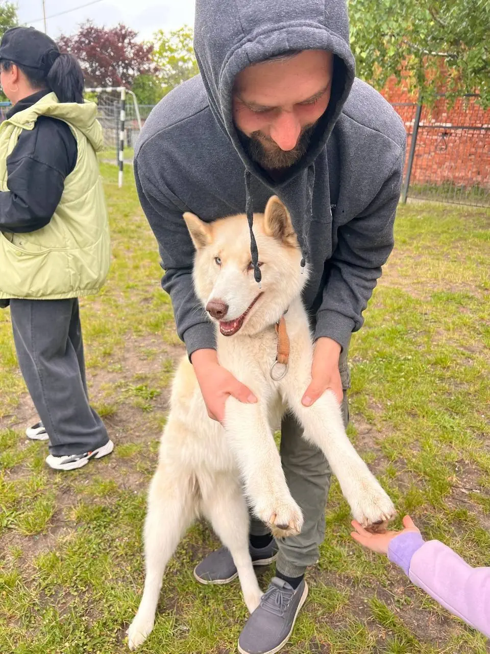 поход с хаски и северными легендами