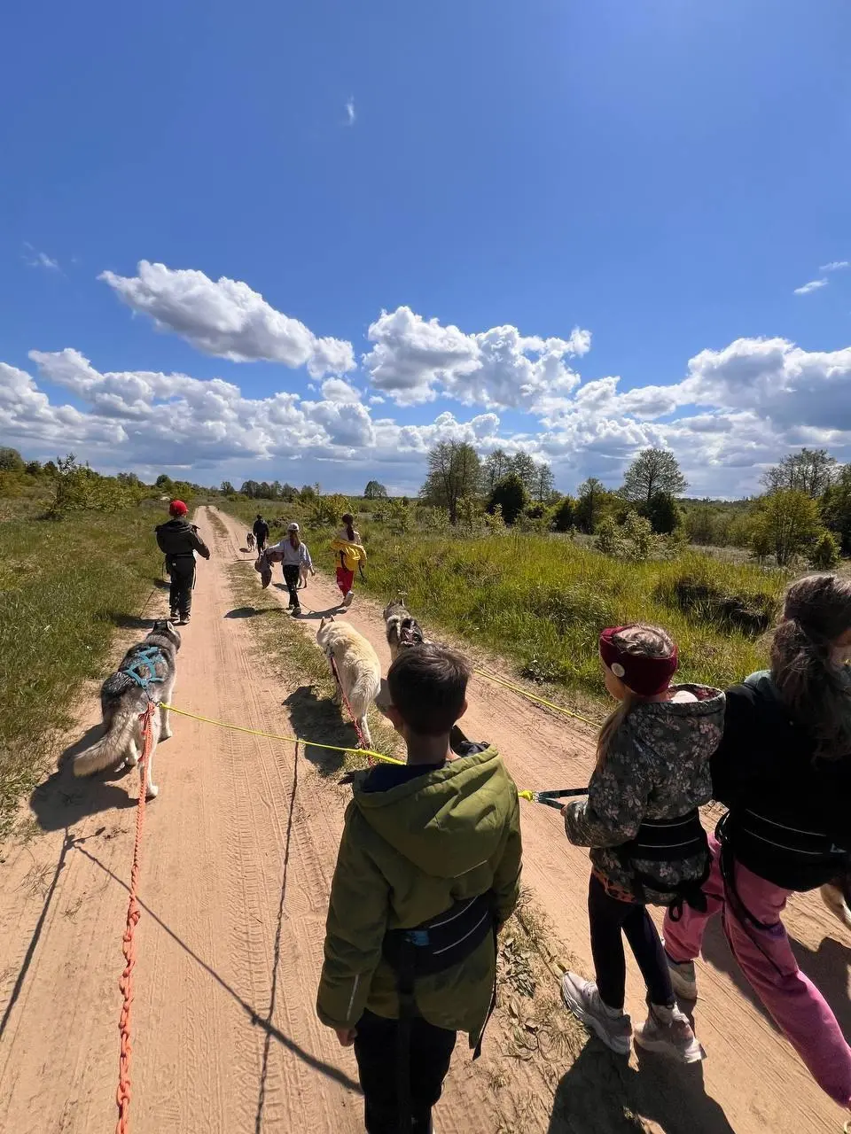 поход с хаски и северными легендами