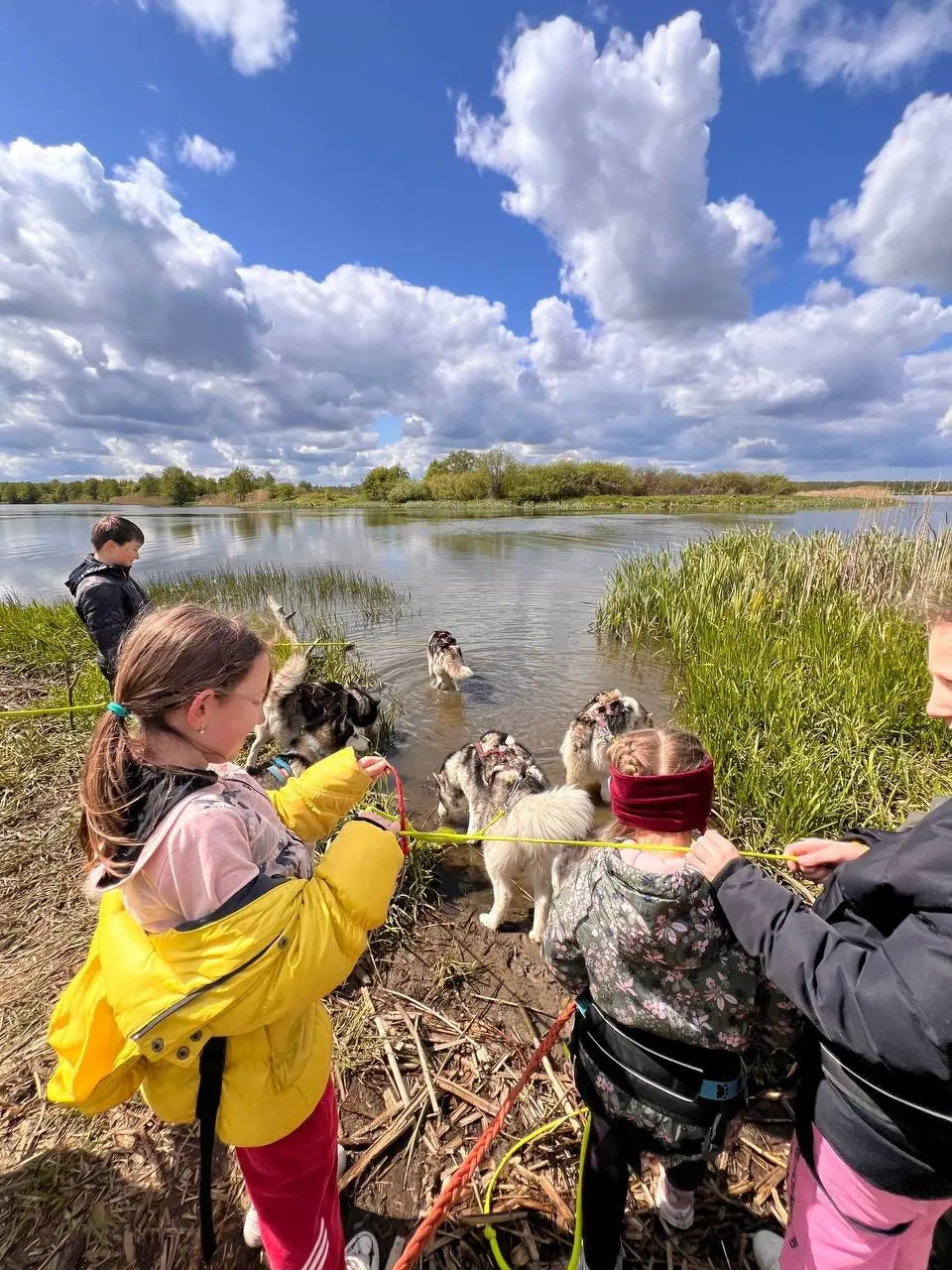 поход с хаски и северными легендами