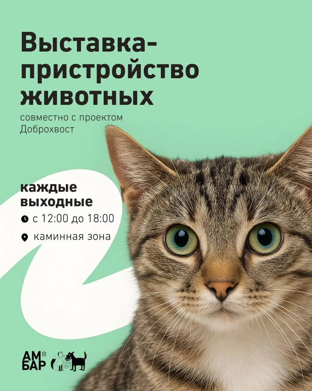 Выставка-пристройство животных — каждую неделю в ТК Амбар!
