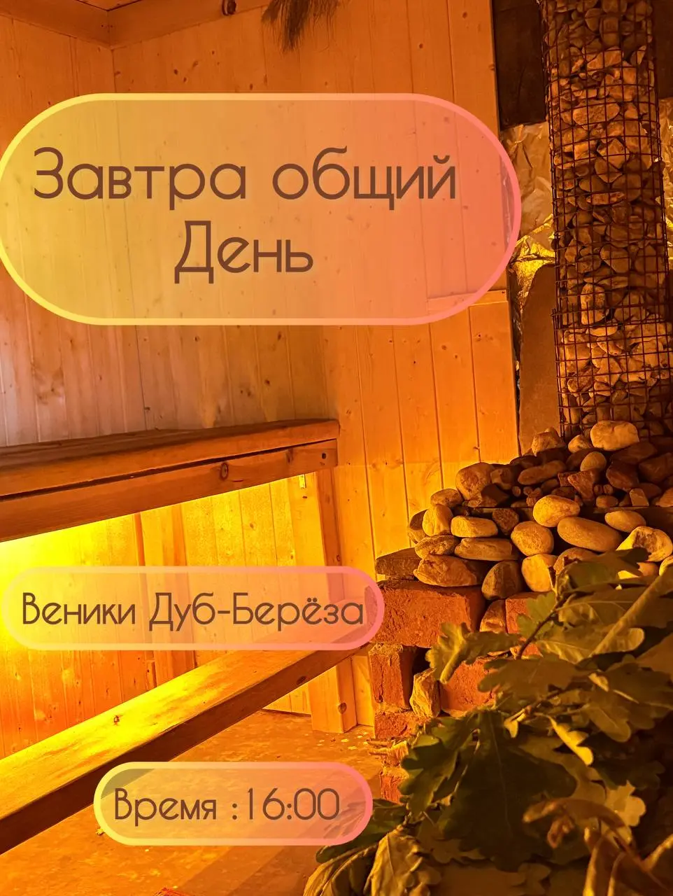 Общий День - баня, 08.06.2025