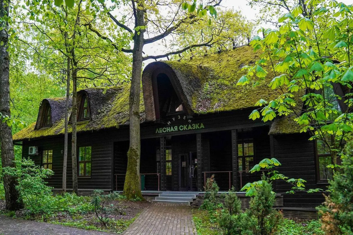 День эколога и квест 6+