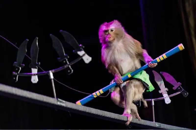 Театр Иллюзии