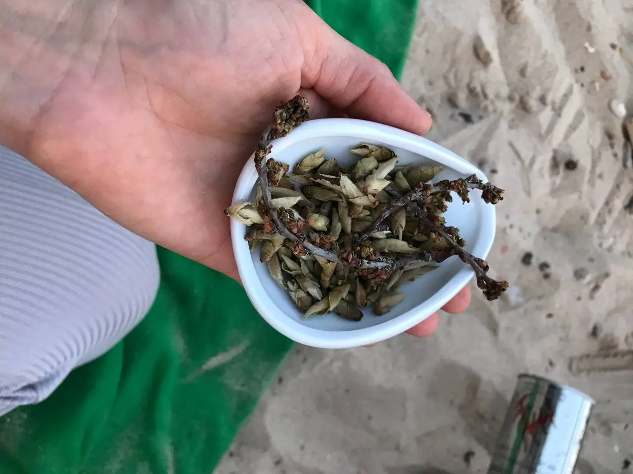 Чай на море